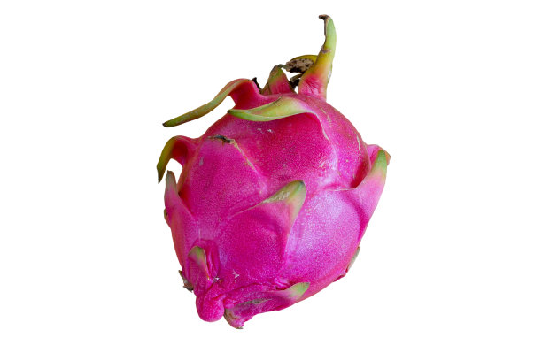 火龙果:火龙果在孤立的白色背景上图片下载