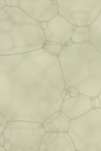 白色抽象肥皂泡背景图片下载