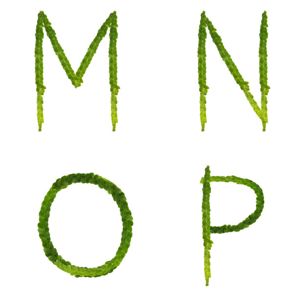 来自绿叶树的字母图片下载