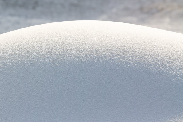 新雪覆盖，在冬天图片下载