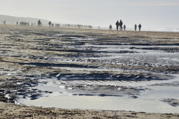 人们在海滩上散步。(位于荷兰)图片下载