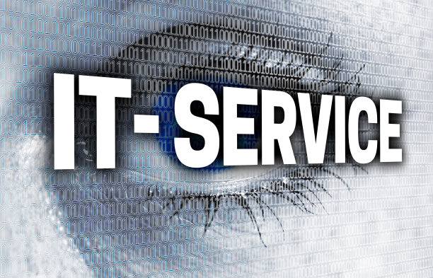 IT服务眼与矩阵查看查看器的概念图片下载