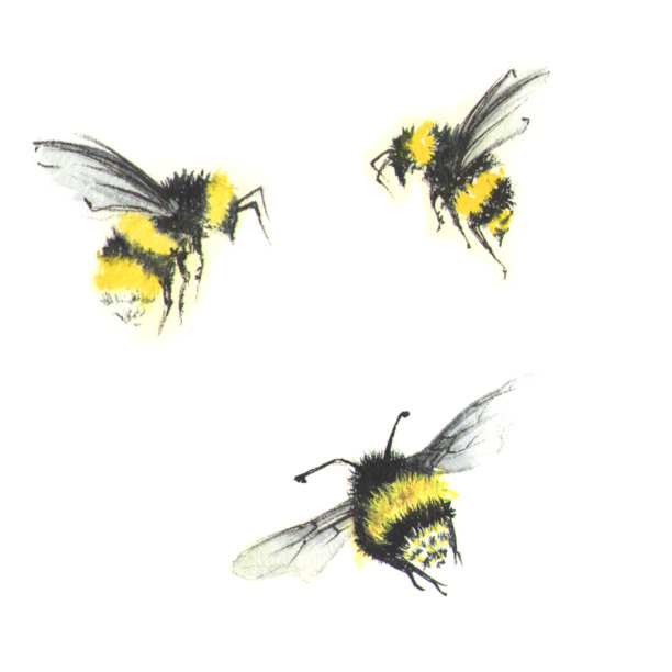 水彩插画素材ID：161960218