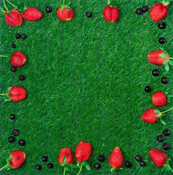 浆果和草莓叶框架图片下载