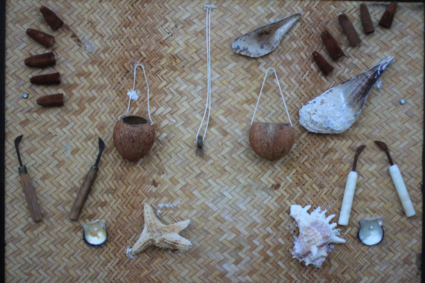 海洋元素图片下载