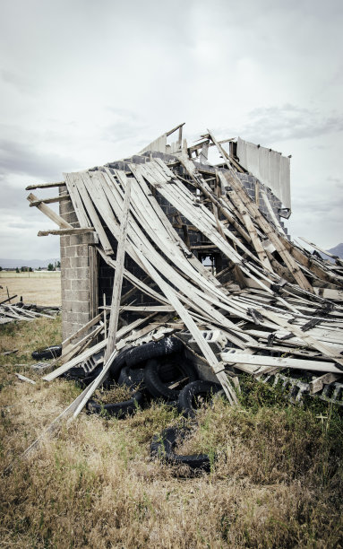 堕落的儿童图片下载
