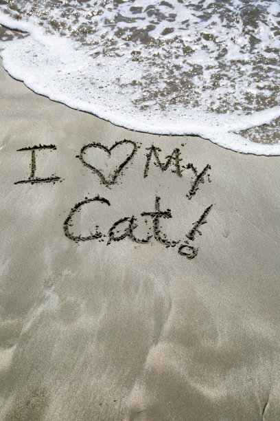 我爱我的猫图片下载