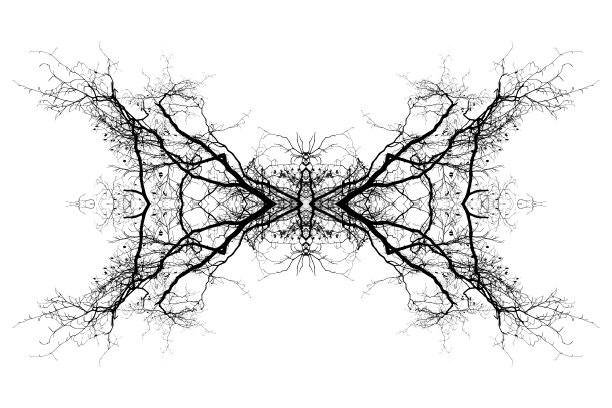 分支树的抽象图片下载