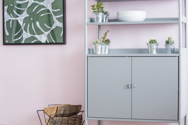 家庭内部与金属书柜图片下载