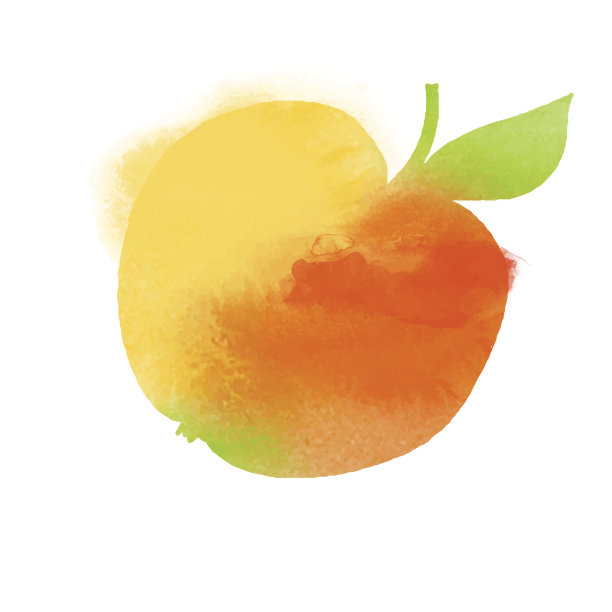 白色背景下的水果特写镜头图片下载