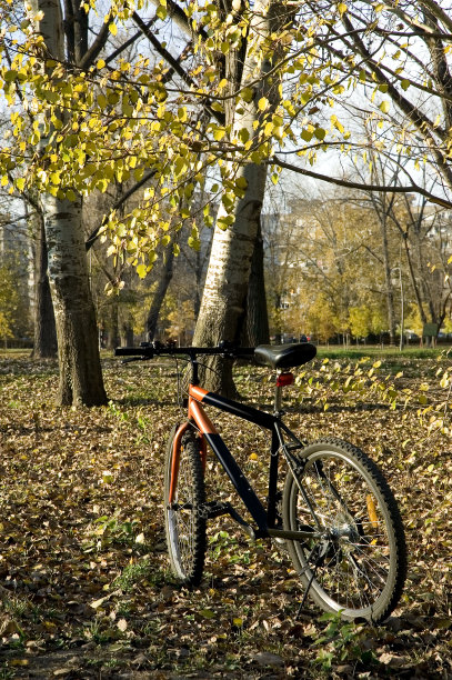 自行车休闲骑在城市公园图片下载