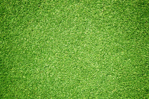 绿草的背景图片下载