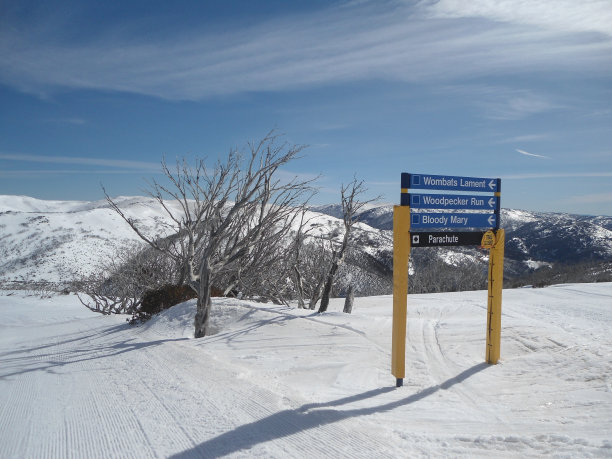 古特加图片下载