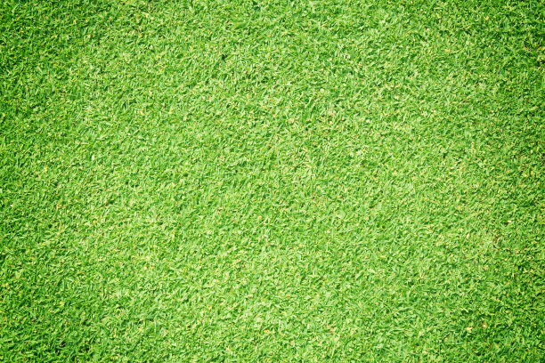 绿草的背景图片下载