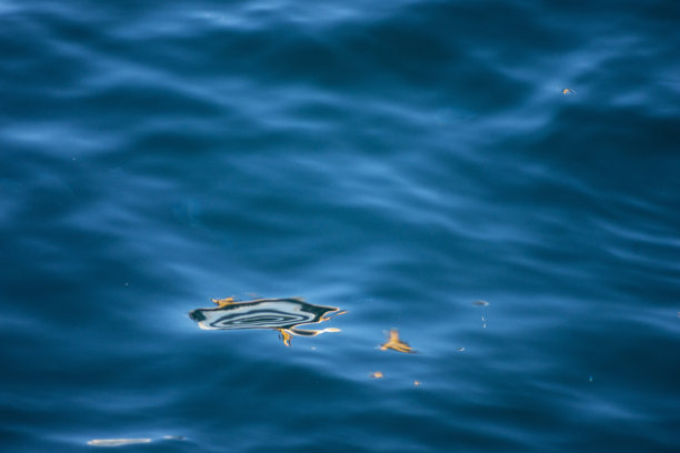 五颜六色的光在蓝色的水面上反射图片下载