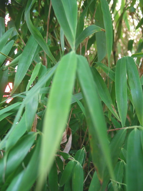 2002年秋在汉堡经历照片旅游图片下载