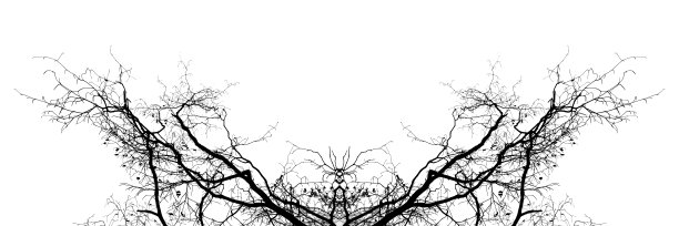 分支树的抽象图片下载