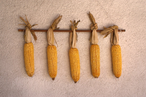 意大利农业图片下载