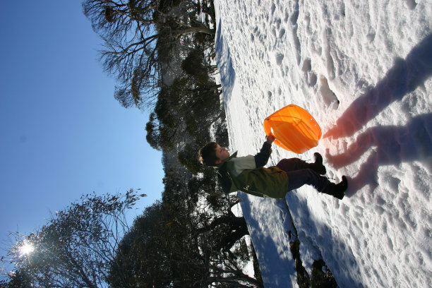 小男孩和雪橇图片下载