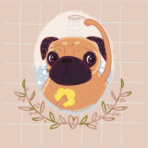 帕格在洗澡图片下载