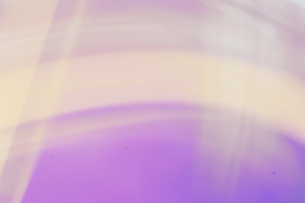 紫色的风图片下载