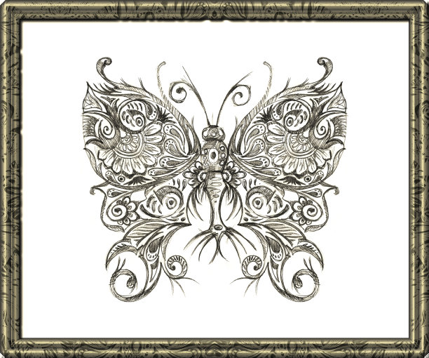 用铅笔蝴蝶手绘。黑白图像的蝴蝶在一个白色的背景。图片下载