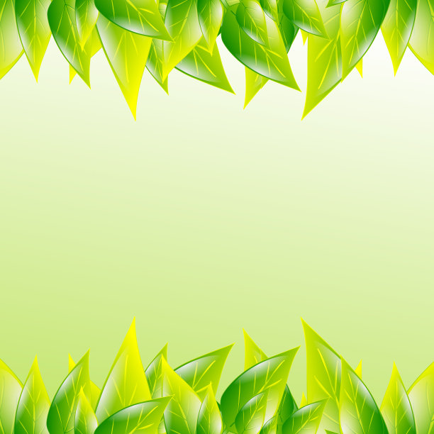 绿色树叶背景图片下载