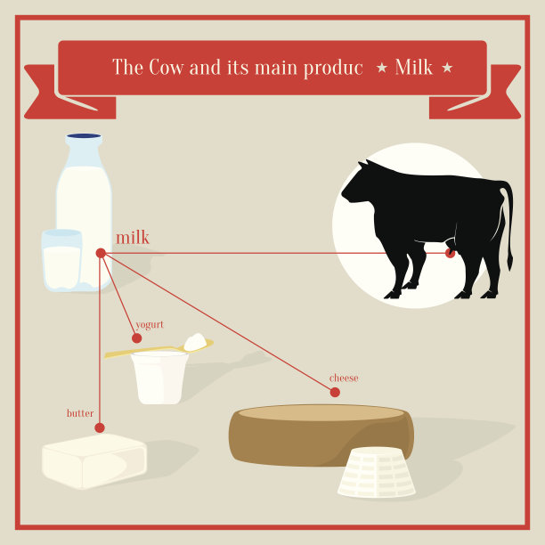 信息图表的食物图片下载