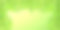 春天在公园里。全景。叶子的背景。图片下载