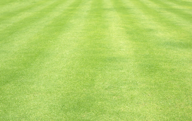 高尔夫球场草坪图片下载