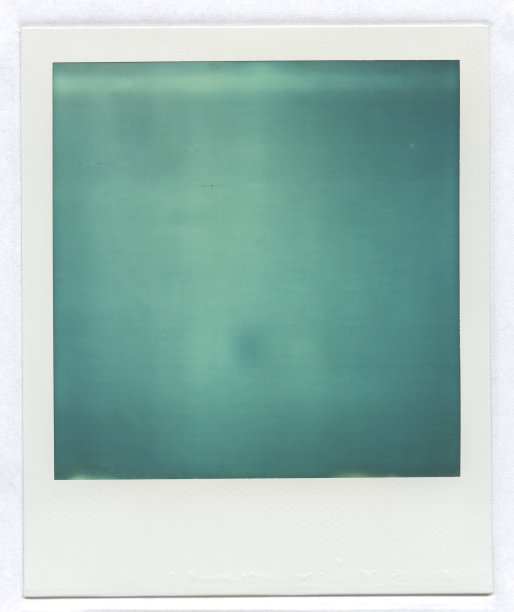 宝丽来照片,绿色图片下载