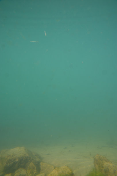 渔人湖图片下载