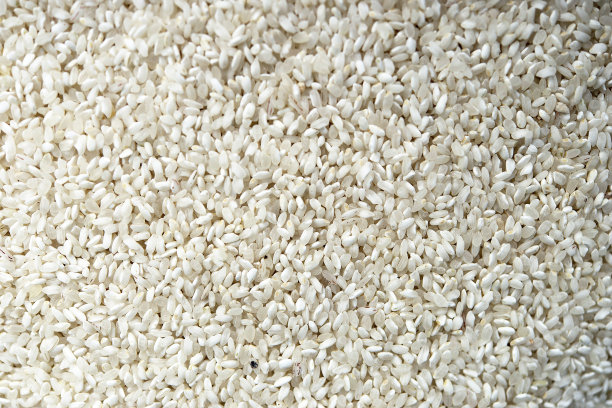 日本大米背景图片下载