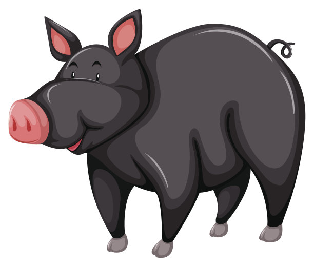 灰色的猪图片下载