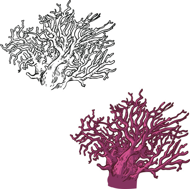 矢量图标设置与珊瑚图片下载