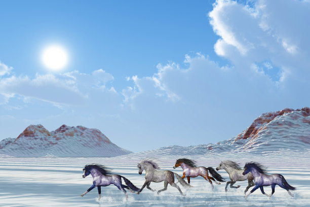 冬天的下午图片下载