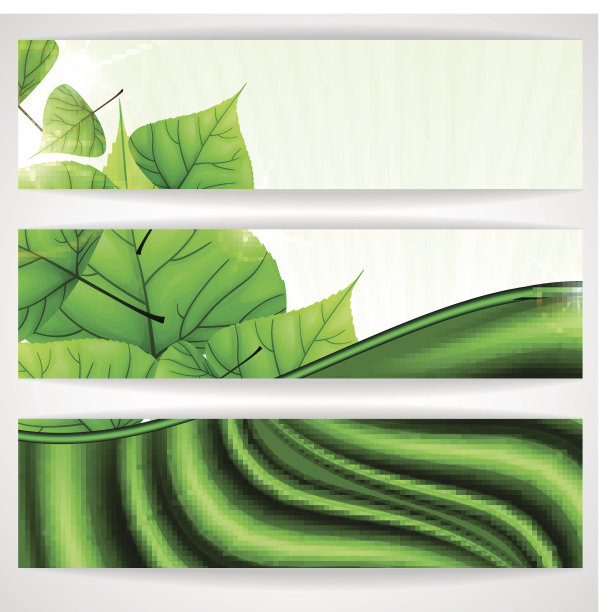 生态绿色背景与树叶。图片下载