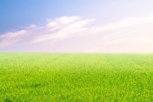 夕阳下的草原，明亮的天空图片下载