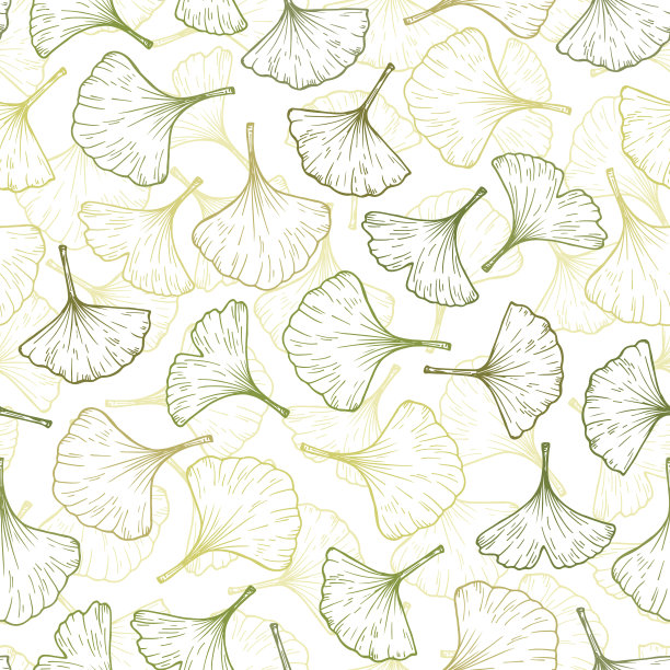 药用植物银杏。手绘叶无缝图案。留下无尽的背景。矢量图图片下载