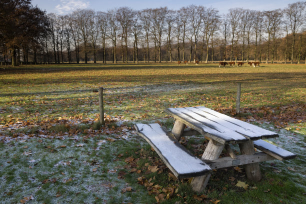 成熟的野餐长凳图片下载