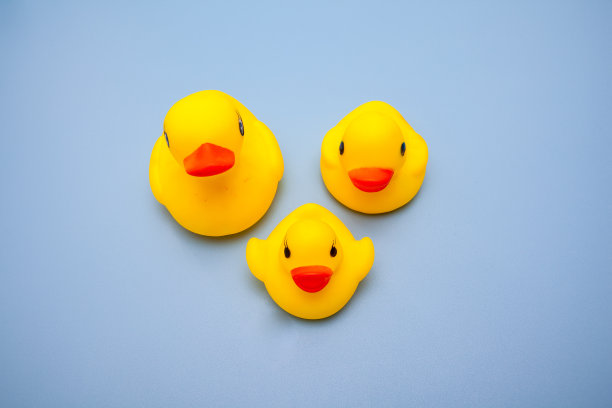 蓝色背景上的黄色鸭子家族的玩具图片下载