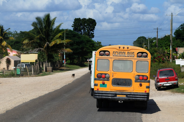 校车图片下载