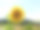 太阳的花2图片下载