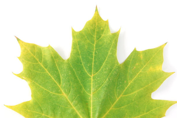 改变颜色图片下载