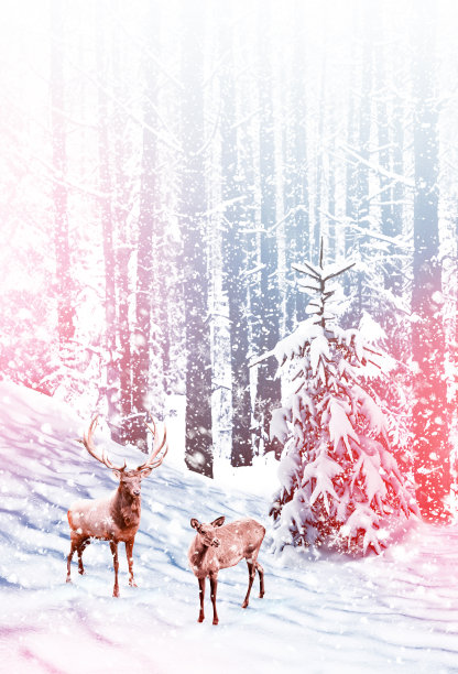 冬天的风景。图片下载