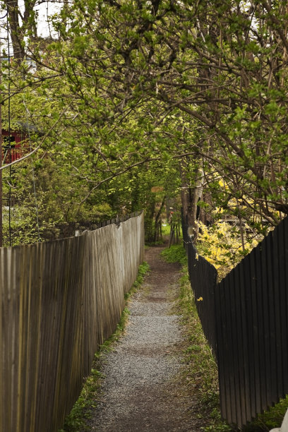 有木栅栏的小路。图片下载