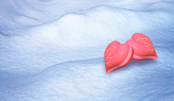 冬天的风景。图片下载