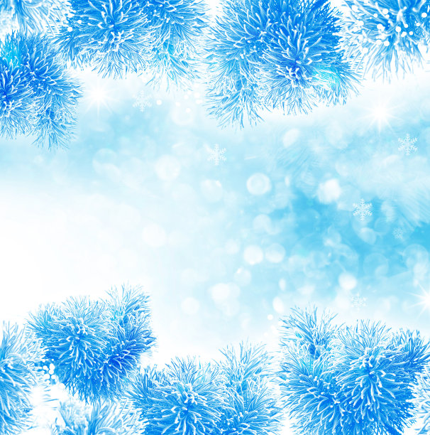 冬天的风景。图片下载