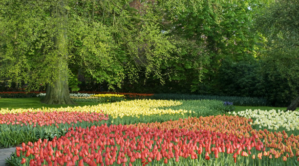公园里的春天图片下载