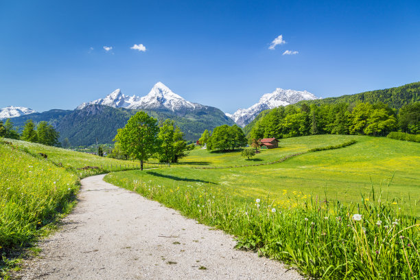 阿尔卑斯山白雪皑皑山顶的田园夏季风光素材图片